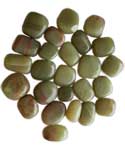 Aragonite Green  Polished