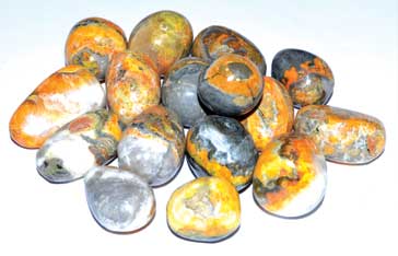Bumble Bee Jasper Polished