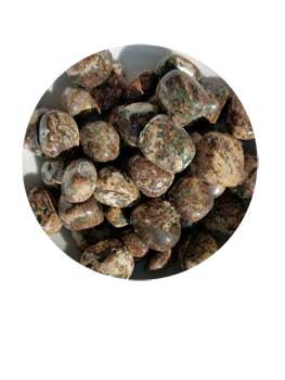 Leopard Jasper Polished