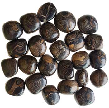 Stromatolite Polished