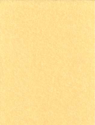 Parchment Paper - Light